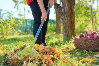 Práce na zahradě člověku prospívá na duši i na těle